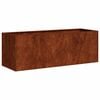 vidaXL plantekasse rustfarvet 120x40x40 cm forvitringsst&aring;l