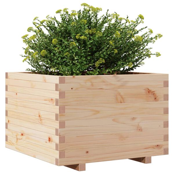 vidaXL plantekasse 70x70x49,5 cm massivt fyrretræ