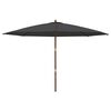 vidaXL haveparasol med tr&aelig;stang 400x273 cm sort