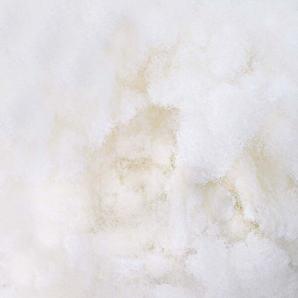 vidaXL Fiber Fyld Hvid 1 kg Polyester