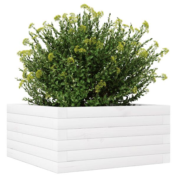 vidaXL plantekasse 50x50x23 cm massivt fyrretr&aelig; hvid
