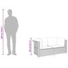 vidaXL hj&oslash;rnemoduler til havesofa 2 stk. med hynder polyrattan gr&aring;