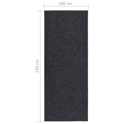 vidaXL snavsbestandig tæppeløber 100x250 cm antracitgrå