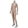 vidaXL mannequin uden hoved mand