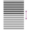 vidaXL zebragardin sort 155x230 cm stofbredde 150,9 cm polyester