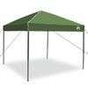 vidaXL Canopy Tent Gr&oslash;n 243 x 243 x 251 cm Stof