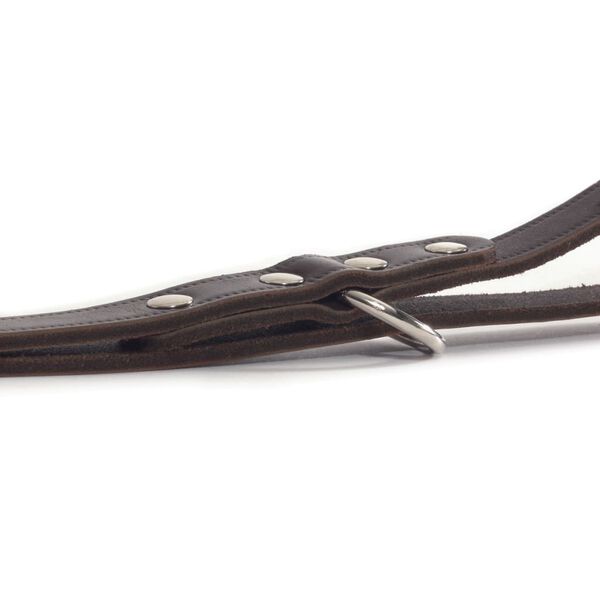 Beeztees tr&aelig;ningssnor l&aelig;der brun 200x1,2 cm 736401