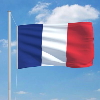 vidaXL det franske flag 90x150 cm