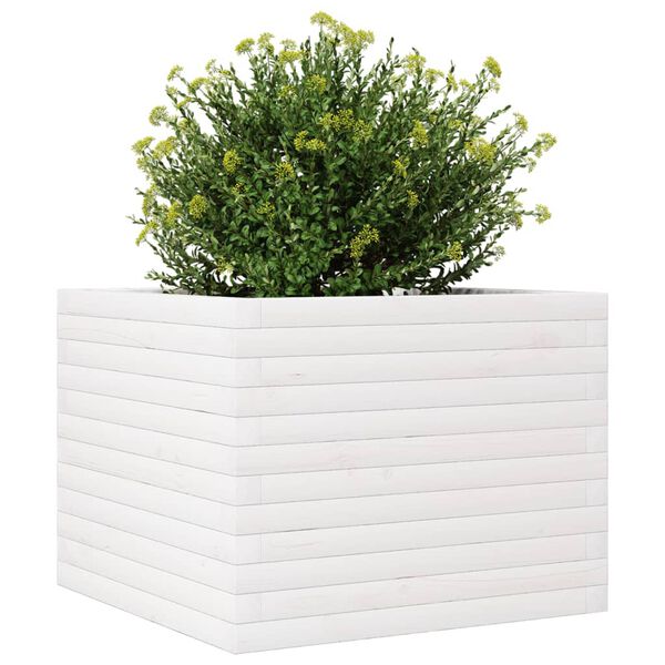 vidaXL plantekasse 60x60x46 cm massivt fyrretræ hvid