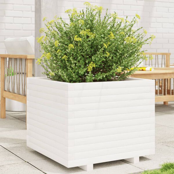 vidaXL plantekasse 60x60x49,5 cm massivt fyrretr&aelig; hvid
