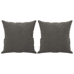 vidaXL pyntepuder 2 stk. 40x40 cm velour m&oslash;rkegr&aring;