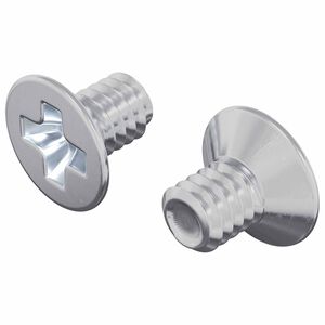 vidaXL Senkkopskruer 2 pcs S&oslash;lv M4 x 6 mm St&aring;l