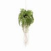 Emerald kunstig h&aelig;ngebregne med r&oslash;dder 35 cm