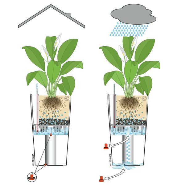 LECHUZA plantekrukke CILINDRO Cottage 23 ALL-IN-ONE 23 cm sandfarvet