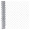 vidaXL Maschendrahtzaun 10 x 1,6 m Galvaniseret st&aring;l S&oslash;lv