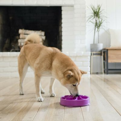 Outward Hound spis langsomt-skål til hunde Slo Bowl mini lilla