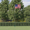 vidaXL USA flag og flagstang 5,5 m aluminium