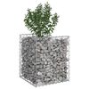 vidaXL Gabion h&oslash;jbed S&oslash;lv 50 x 50 x 60 cm Galvaniseret st&aring;l