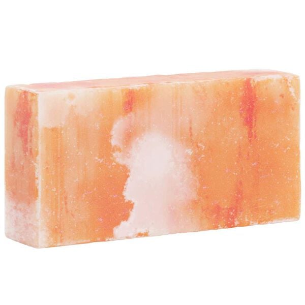 vidaXL Saltsten 10 pcs Lyserød 20 x 5 x 10 cm Bordsalt