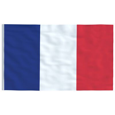 vidaXL Frankrig flag og flagstang 5,55 m aluminium