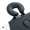 vidaXL sammenfoldeligt massagebord aluminiumsstel 4 zoner sort og hvid