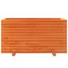 vidaXL plantekasse 90x40x49,5 cm massivt fyrretr&aelig; gyldenbrun