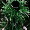 Produktminiaturebillede 14 af 17