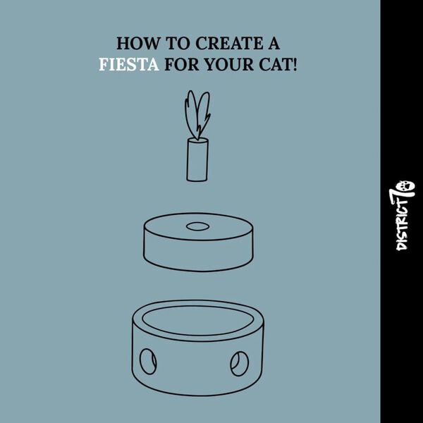 DISTRICT70 katteleget&oslash;j FIESTA hvid og brun pap