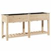 vidaXL Have Blomsterkrukke Beige 161 x 43 x 76,5 cm Massivt Fyrretr&aelig;