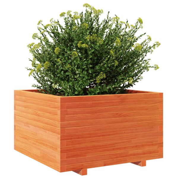 vidaXL plantekasse 80x80x49,5 cm massivt fyrretr&aelig; gyldenbrun