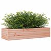 vidaXL plantekasse 110x40x23 cm massivt douglasgran