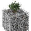 vidaXL Gabion h&oslash;jbed S&oslash;lv 60 x 60 x 55 cm Galvaniseret st&aring;l