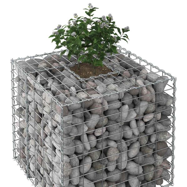 vidaXL Gabion h&oslash;jbed S&oslash;lv 60 x 60 x 55 cm Galvaniseret st&aring;l