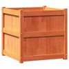 vidaXL plantekasse 60x60x60 cm massivt fyrretræ gyldenbrun