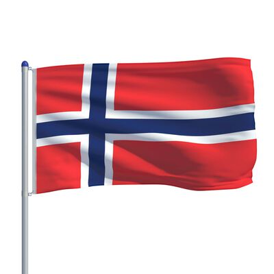 vidaXL Norges flag og flagstang 6 m aluminium