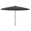 vidaXL haveparasol med tr&aelig;stang 400x273 cm antracitgr&aring;