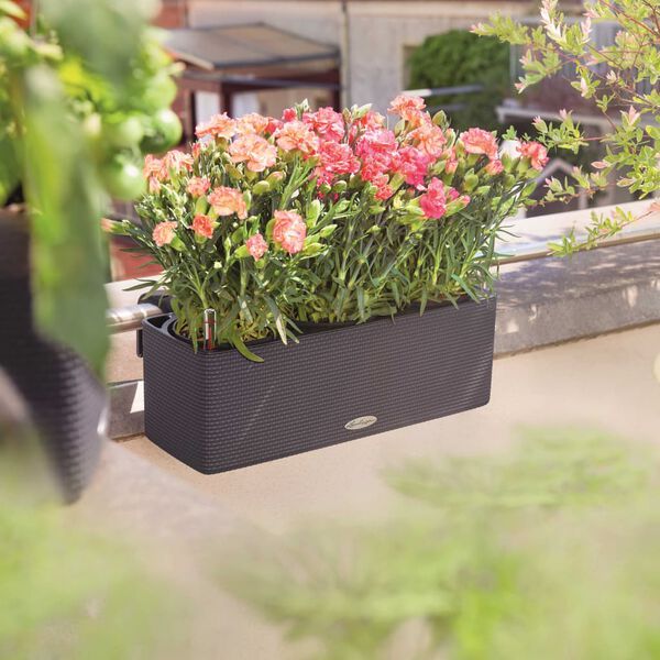 Viser produktbillede 2 af 10