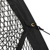vidaXL batting cage net til baseball 500x400x250 cm polyester sort
