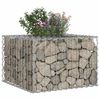 vidaXL Gabion h&oslash;jbed S&oslash;lv 60 x 60 x 40 cm Galvaniseret st&aring;l