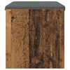 vidaXL Hallb&aelig;nk med pude Gammelt tr&aelig; 63 x 38 x 40 cm