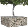 vidaXL Gabion h&oslash;jbed S&oslash;lv 100 x 100 x 40 cm Galvaniseret st&aring;l