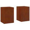 vidaXL Planteholder 2 pcs Rusten 24 x 24 x 35 cm Cortenst&aring;l