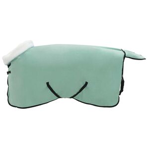 vidaXL Hestet&aelig;ppe Speciel gr&oslash;n 75 cm Polar fleece