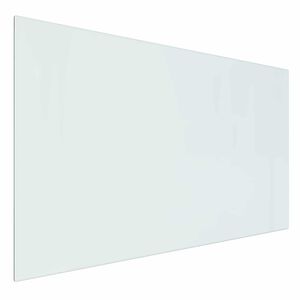 vidaXL Pejs glasplade Transparent 100 x 60 cm Glas
