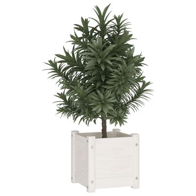 vidaXL plantekasse 31x31x31 cm massivt fyrretræ hvid