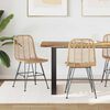 vidaXL Spisestuestol 2 pcs Naturfarvet 44 x 47 x 85 cm Rattan og Jern