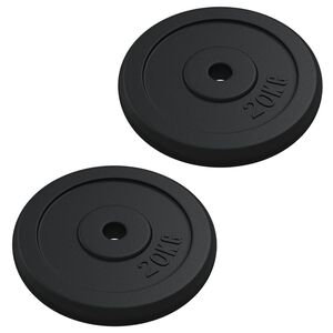vidaXL v&aelig;gtskive 40 kg st&oslash;bejern