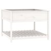 vidaXL plantekasse med hylde 111,5x111,5x81 cm massivt fyrretræ hvid