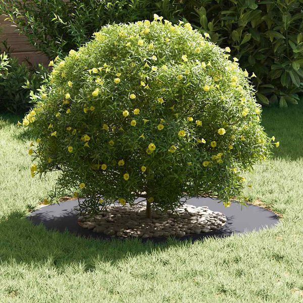 vidaXL egnet til flade tr&aelig;ริงe 5 pcs Antracit &Oslash;40 / 70 cm St&aring;l