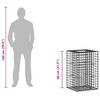 vidaXL Gabion h&oslash;jbed S&oslash;lv 50 x 50 x 80 cm Galvaniseret st&aring;l
